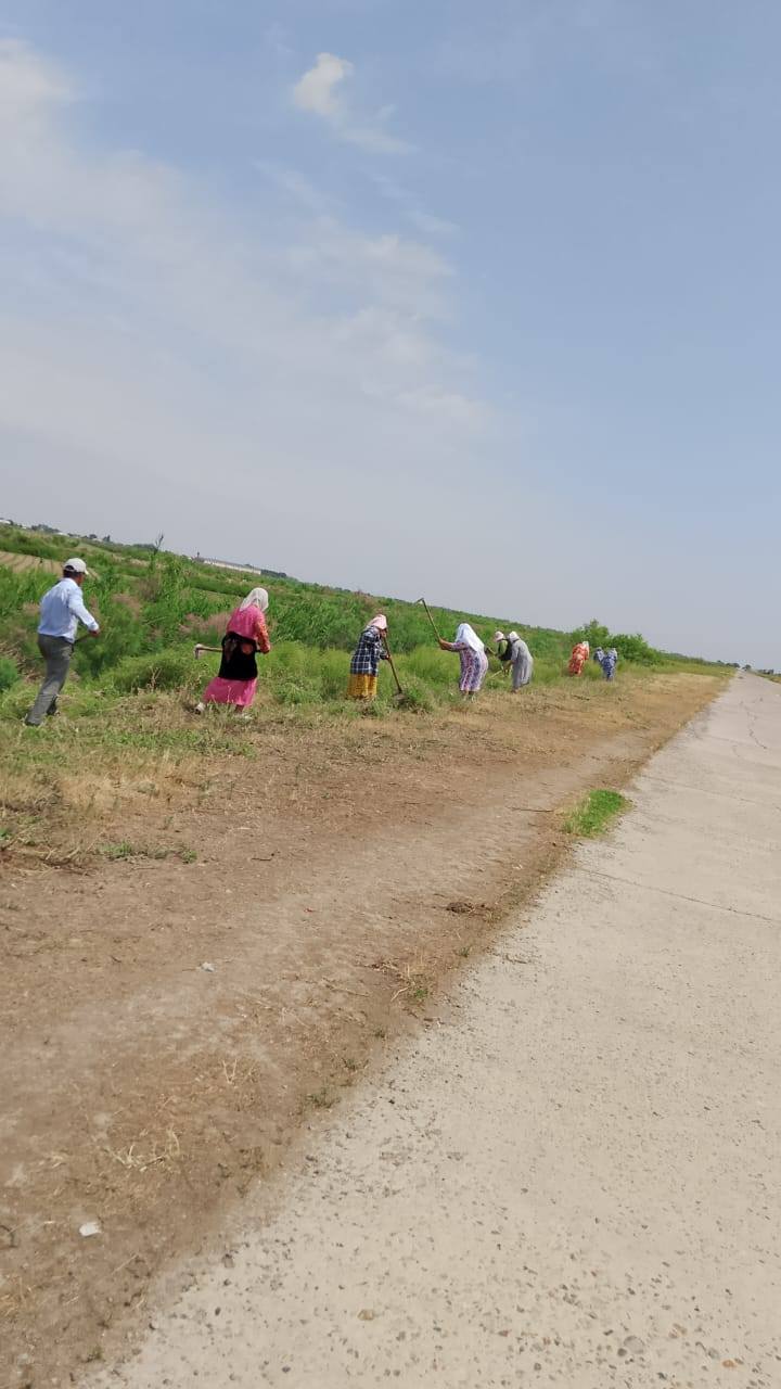 «Біртұтас тәрбие бағдарламасы» аясында «Таза Қазақстан» республикалық экологиялық акциясы  негізінде кезекті тазалық жұмыстары жүргізілді.