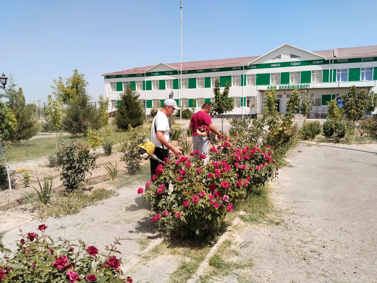 «ТАЗА ҚАЗАҚСТАН»🌿 республикалық экологиялық акциясы өз жалғасын табуда!